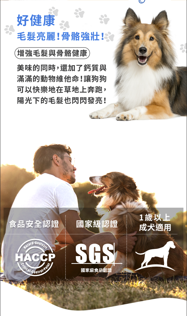 佳冠德成犬飼料型錄設計全系列展示
