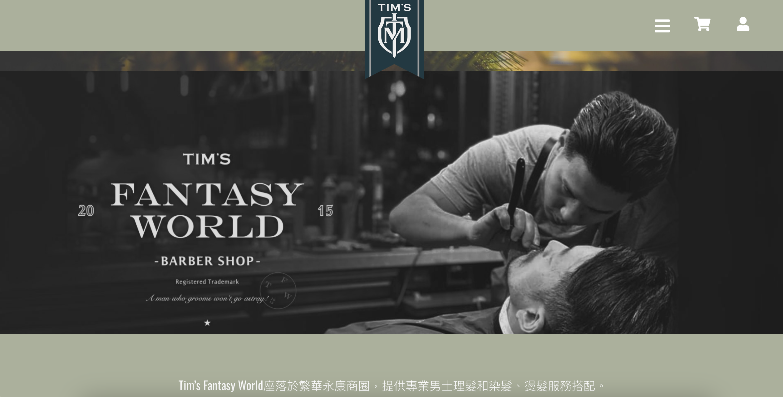 Tim’s Fantasy World網頁設計正面展示