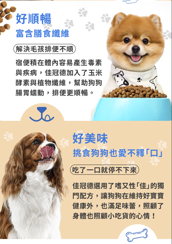 佳冠德成犬飼料型錄設計設計細節