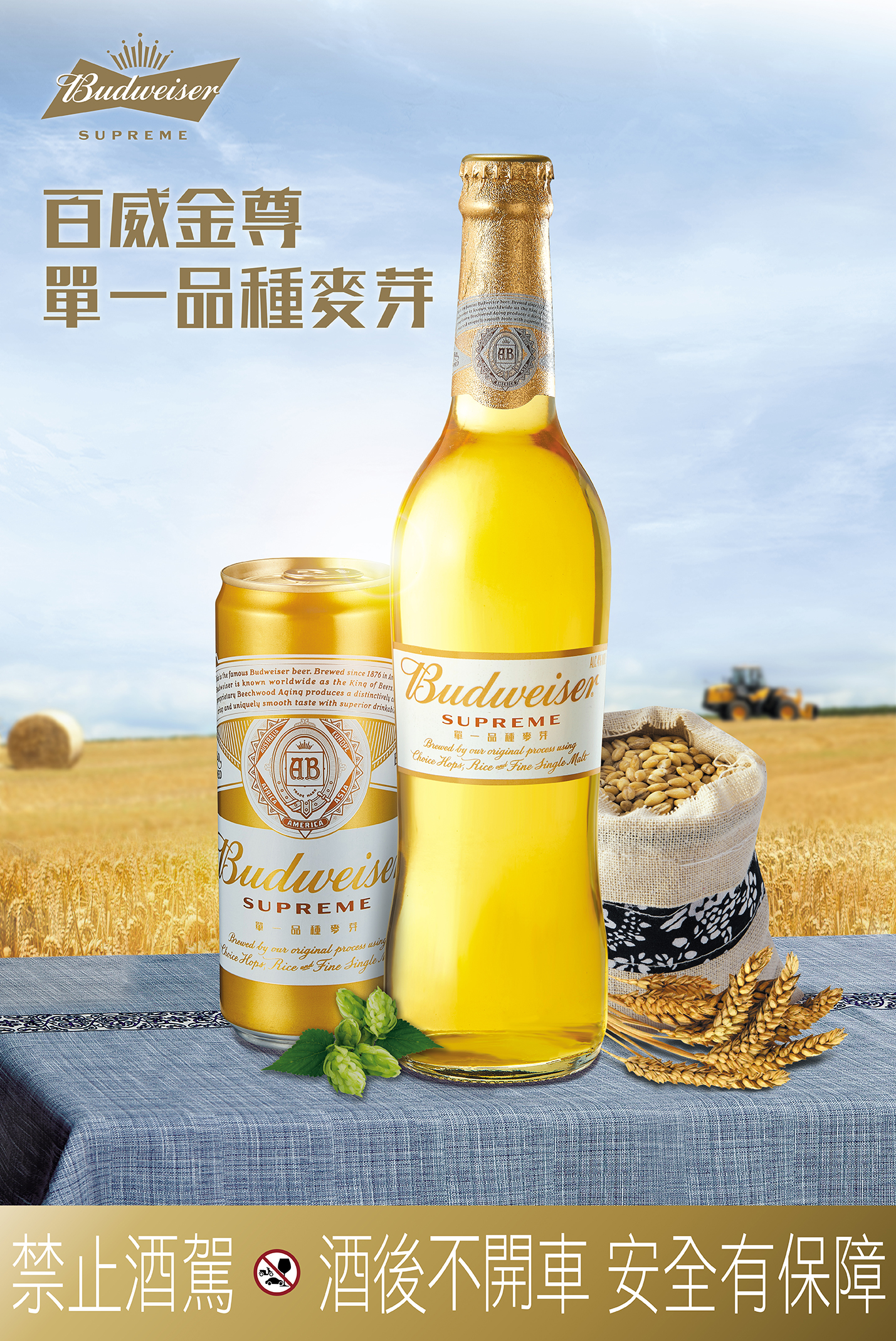 百威金尊主視覺系列海報設計設計細節
