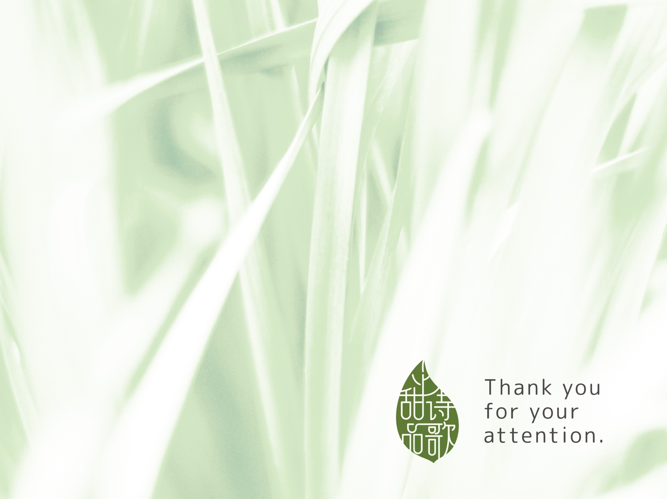 甜詩品歌品牌設計產品實拍