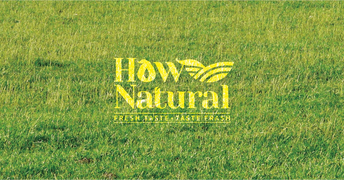 我們擅長遠距合作設計設計延伸