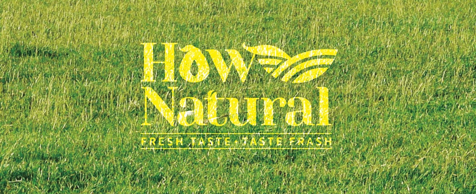 HowNatural 好鲜甜 | 品牌VI规划