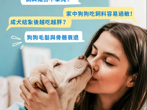 佳冠德成犬飼料｜EDM 設計・文案企劃