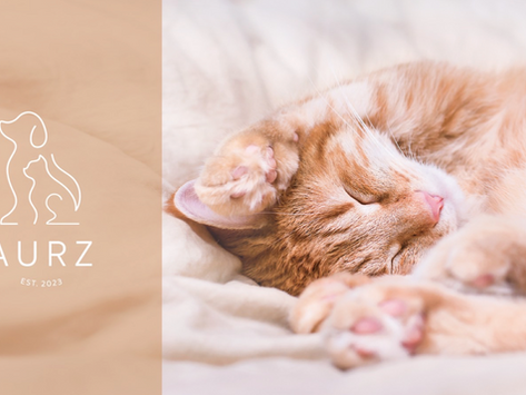 AURZ寵物品牌｜CIS設計、LOGO設計、品牌設計