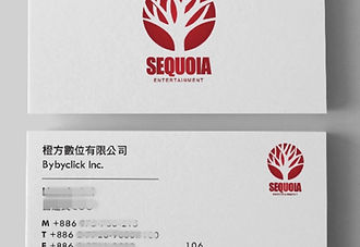 Hong Shan Group|VI Planning Including the Card