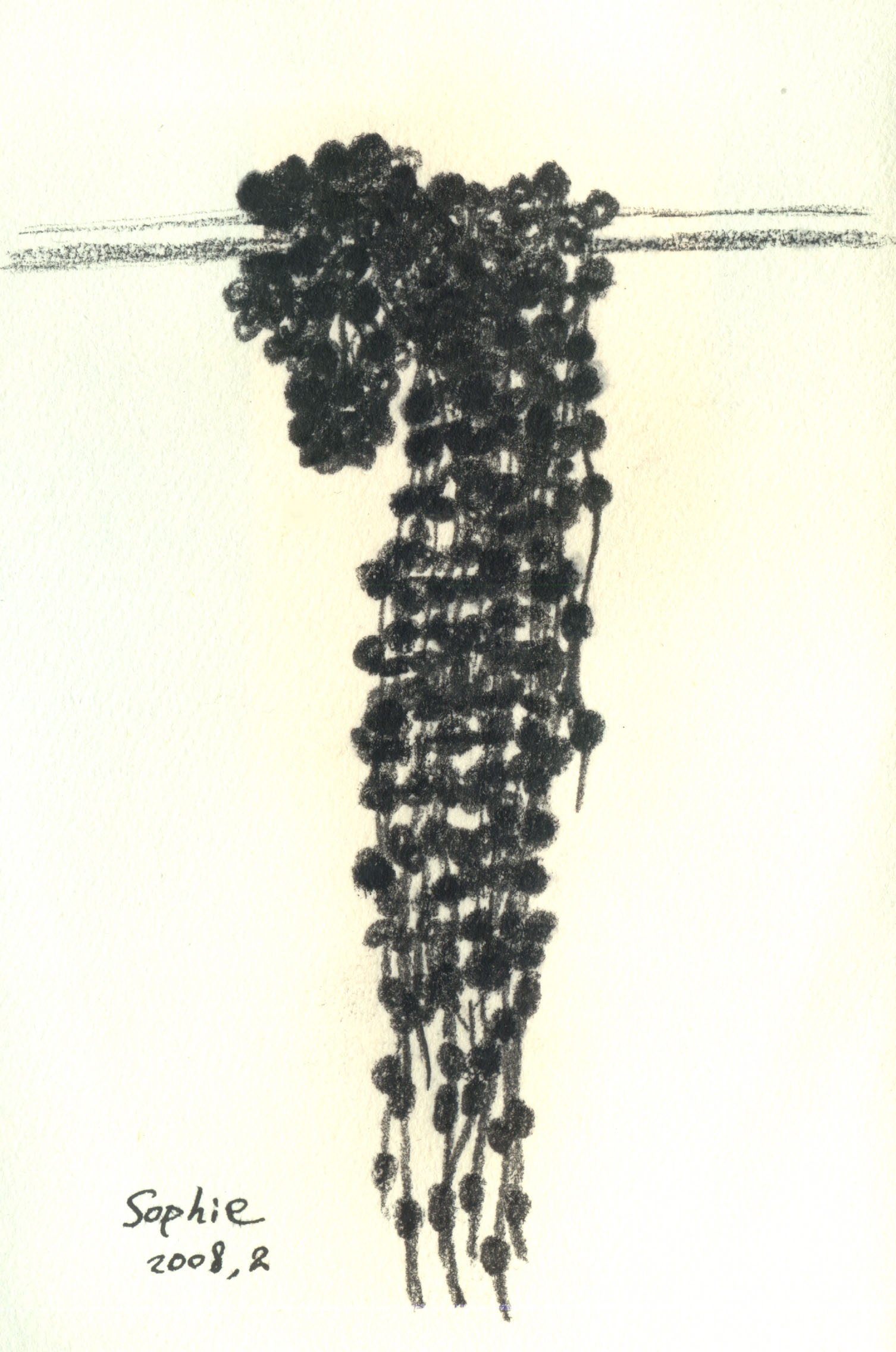 蘇妃珍作品 — 8